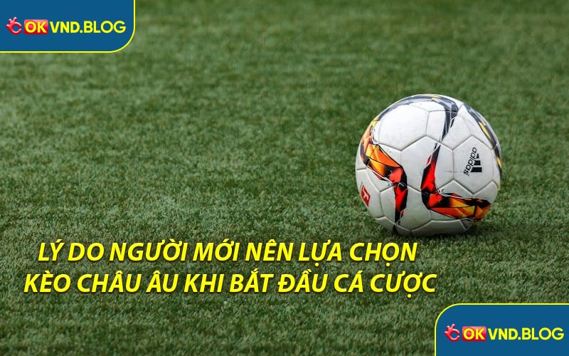 Lý Do Người Mới Nên Lựa Chọn Kèo Châu Âu Khi Bắt Đầu Cá Cược